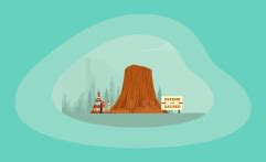 9 Best Charities for Native Americans (Complete 2024 List).
